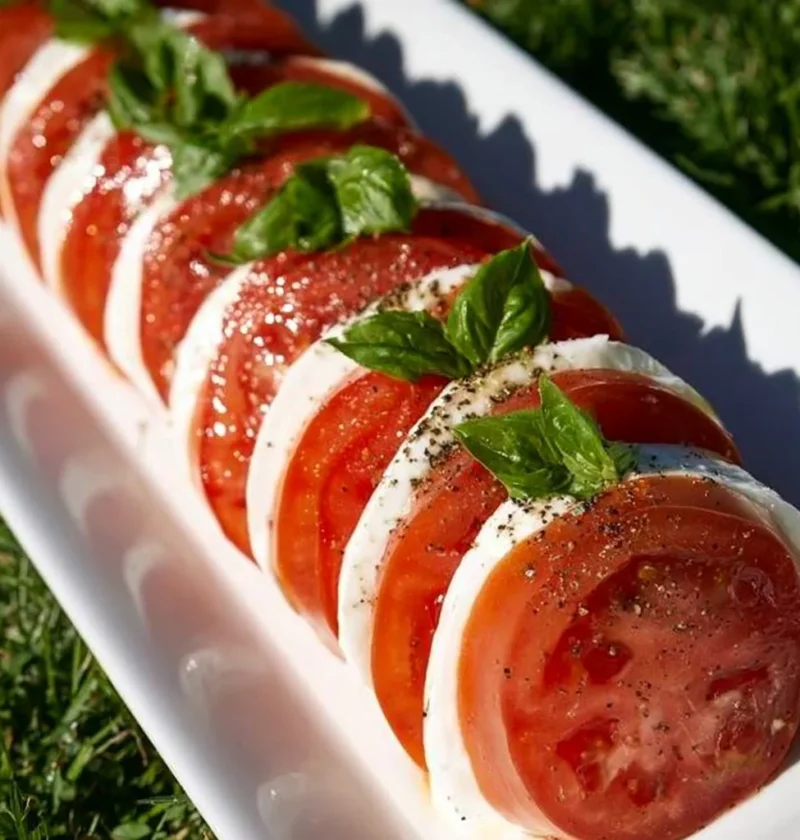 Insalata di Mozzarella e Pomodoro con basilico fresco